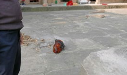 杀鸡视频,高清视频带你直击真实屠宰过程